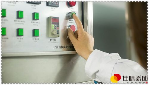 桑葚叶果汁饮料的工艺配方研究与技术转让